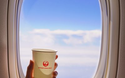 Maximizing Benefits: A Look Inside Airline Loyalty Programs