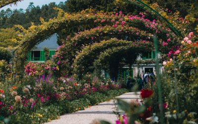 Botanical Gardens Visit Near Changi Airport, Singapore: A Guide to the Best Gardens to Explore