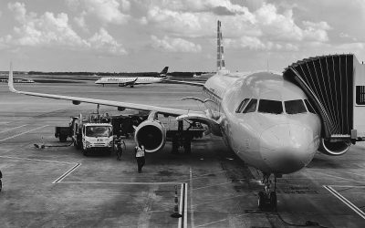 The Top 10 Most Unusual Items Spotted by Flight Attendants at TSA
