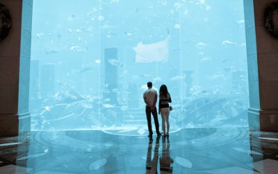 Airport Aquariums to Visit in Vancouver International Airport: A Guide to the Best Options